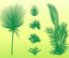 Palm Leaves vector