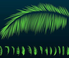 Palm Leaves Silhouettes vector design