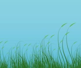 Grass Graphics vector