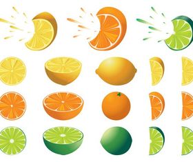 Citrus Fruits free vector