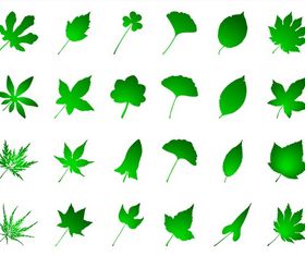 Green Leaves vector graphics