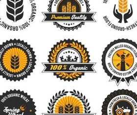 Food Labels free Illustration vector