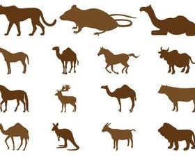 Animal Silhouette creative vector