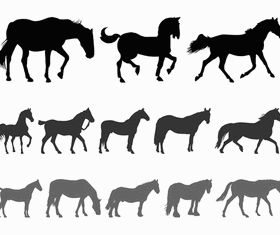 Horse Silhouettes art vectors