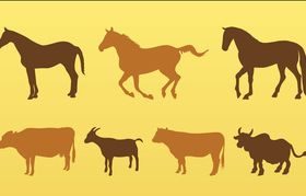 Livestock Animals Silhouettes art vector graphics