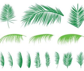Palm Leaves Silhouettes vector