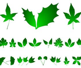 Leaves Graphics vector