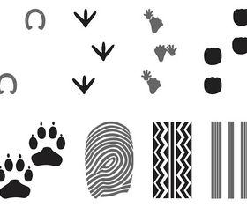 Prints And Traces vector