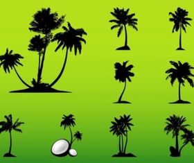 Palm Trees vector set