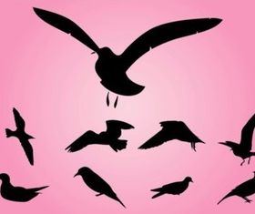 Bird Silhouettes vector
