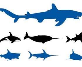 Animals Graphics vector