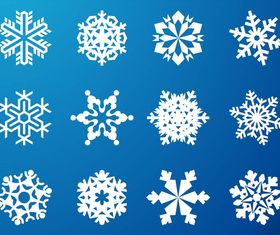 Snowflake Graphics vector