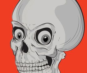 Cartoon Skull vector