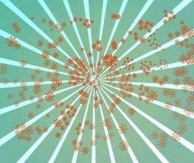 Blooming Spring Flowers vector