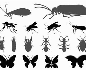 Insects Graphics vector silhouttes