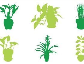House Plants Silhouettes vector