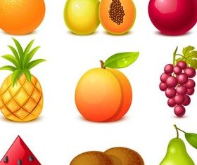 Different Shiny Fruits set vector