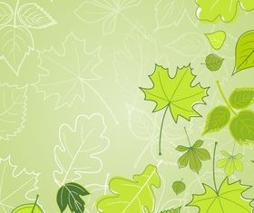 Green Leaves vector