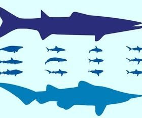 Animals Silhouettes vector