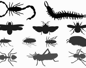 Insect Silhouettes vector