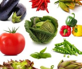 fruits Collage graphic vector