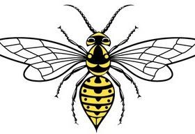 Wasp Image vector