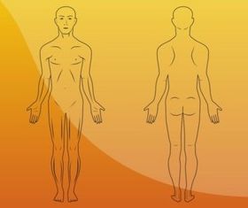 Body Illustrations vector material