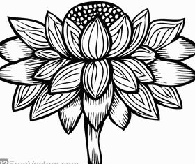 Flower Image vector