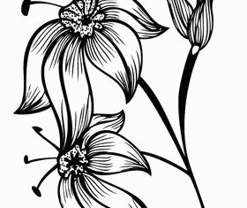 Flourish Design Image vector