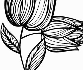 Hand Drawn Rose Flower Design vectors