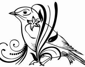 Floral Bird vectors