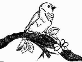 Cute Bird on Tree Branch Art vector material