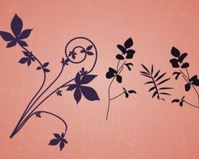 Floral Design Elements vector graphics