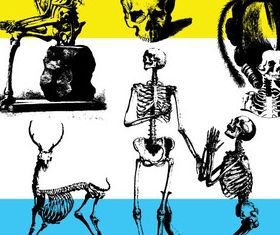 Free Skeleton Art vector