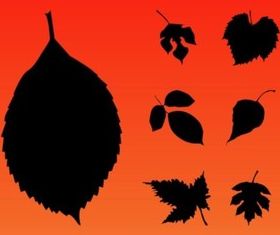 Autumn Leaves set vector