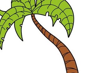 Palm Tree Stock Image vector