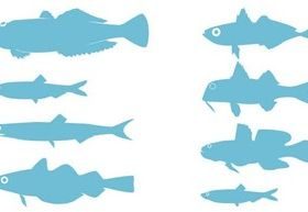 Adriatic SeFish Silhouettes Free vector material