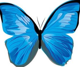 Butterfly Image free vector