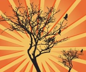Tree Sunburst Graphics vector