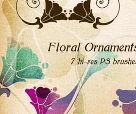 Floral Ornaments and Photoshop Brushes shiny vector
