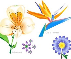 Flowers Free Set vectors