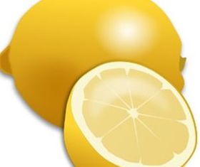 Fresh Lemon and Lemon Slice Realistic Clip Art vector