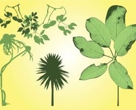 Free Plants Stock vector material