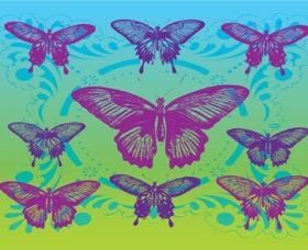 Free Butterflies vector