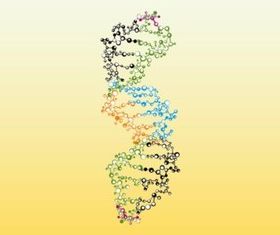 Colorful DNA vector