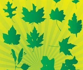 Leafs Graphics set vector