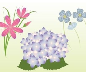 Spring Flowers vector