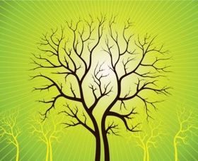 Vector Art Trees