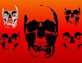 Free Skull vector graphics