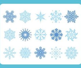 Snow Flake Variety vector